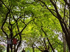 -广州雕塑公园