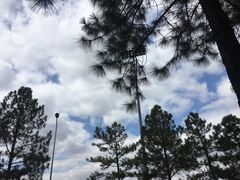 -同济大学(嘉定校区)