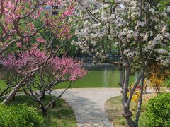 -团结湖公园