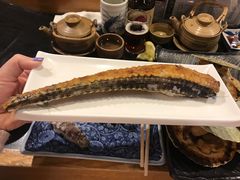 -鱼真(うおまさ)