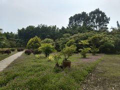 -福建鲤鱼洲酒店