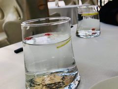 -梧桐