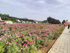 -君乐宝优致牧场
