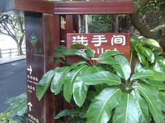 景点-大湾区中央湿地公园