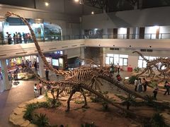 -自贡恐龙博物馆