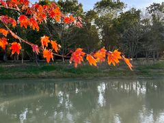 -上海海湾国家森林公园