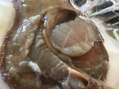 -东戴河风景区-止锚湾