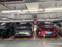 -上海浦东国际机场T1航站楼-P1停车场