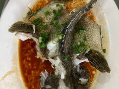 清蒸石斑鱼-巽寮印象美食部落餐厅·海鲜·地方特色菜(惠州体验店)