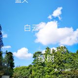 秋意未浓枫难红 千菊争艳百媚娇