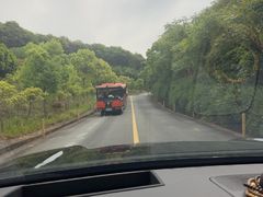 -杭州野生动物世界