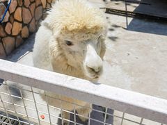 -金庭庄园酒店-停车场