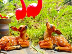 -鱼乐岛餐厅·户外花园主题餐厅