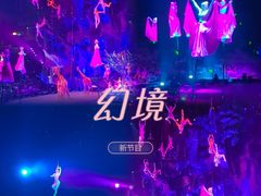 -广州长隆国际大马戏