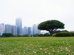 -万绿园