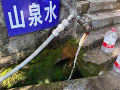 -沣峪森林公园龙潭戏水景区