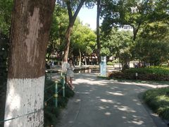 -常州古运河南大街文化旅游区-人民公园