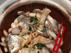 -新雅粤菜馆(南京东路店)