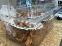 -韩麦大冷面(乔松路直营店)