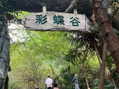 -天目湖山水园