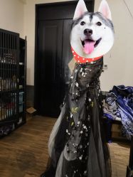 -盘子女人坊古装写真摄影(天津总店)