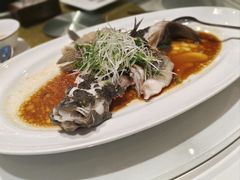 笋壳鱼-老洋房花园饭店(绍兴路店)