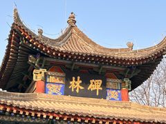-西安碑林博物馆
