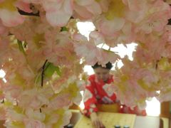 -汤泉良子(金源店)