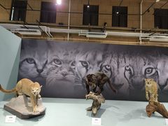 -国家自然博物馆