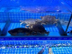 -江南福宴·澳门海鲜.牛肉火锅(汇高栢悦中心店)