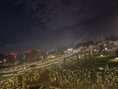 -莫子山公园