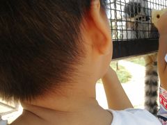 -石家庄市动物园