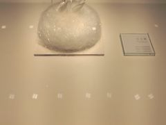 -BLACKSWAN黑天鹅(环球店)