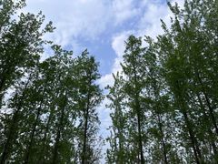 -艾山风景名胜区