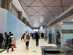 -哈尔滨太平国际机场-T2航站楼