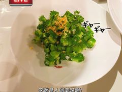 -泓0871臻选云南菜·味庄