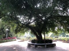 -人民公园(罗湖区)