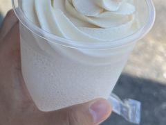 -萨朗刀克冰淇淋雪花凉(植物园店)