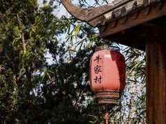 -合肥滨湖国家森林公园