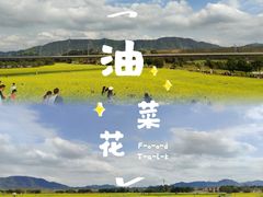 -光明小镇欢乐田园