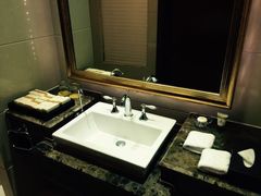 圣爵菲斯大酒店-圣爵菲斯大酒店(长沙世界之窗店)