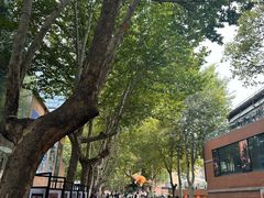 -西安电影制片厂