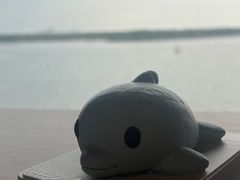 -抱抱地球咖啡馆(国家海洋博物馆店)