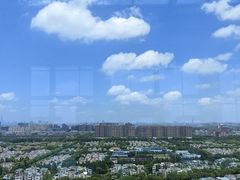 -上海浦东康桥绿地假日酒店
