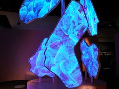 -墨尔本博物馆(Melbourne Museum)