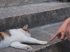 -巴金故居