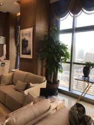 -北京米扬丽格医疗美容·联合丽格鼻整形中心