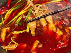 -黄潇洒老火锅(九眼桥宏济巷店)
