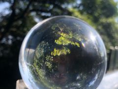 -黄埔油麻山森林公园