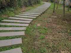 -贵阳市花溪国家城市湿地公园